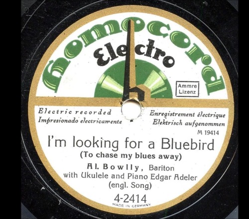 I'm Looking For A Bluebird. If you have this image and or audio, please contact me. Thanks.